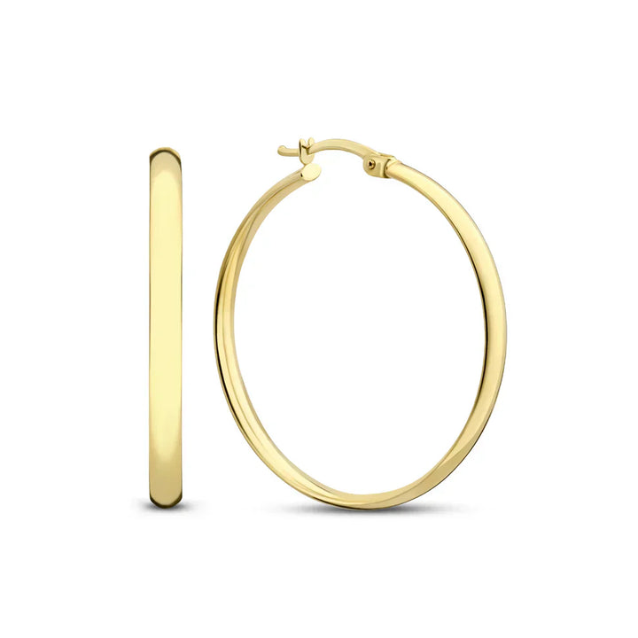 Noa Serene Gold Earrings